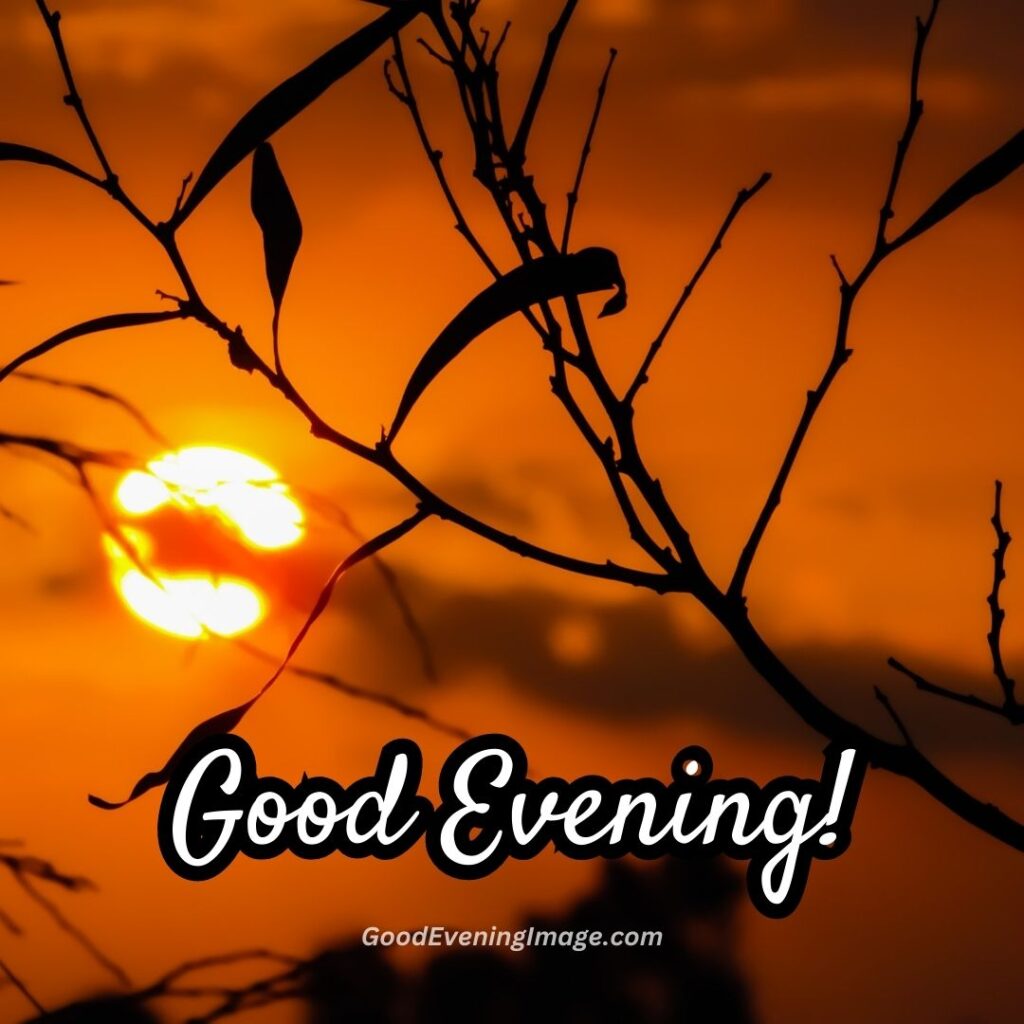 good evening pictures
