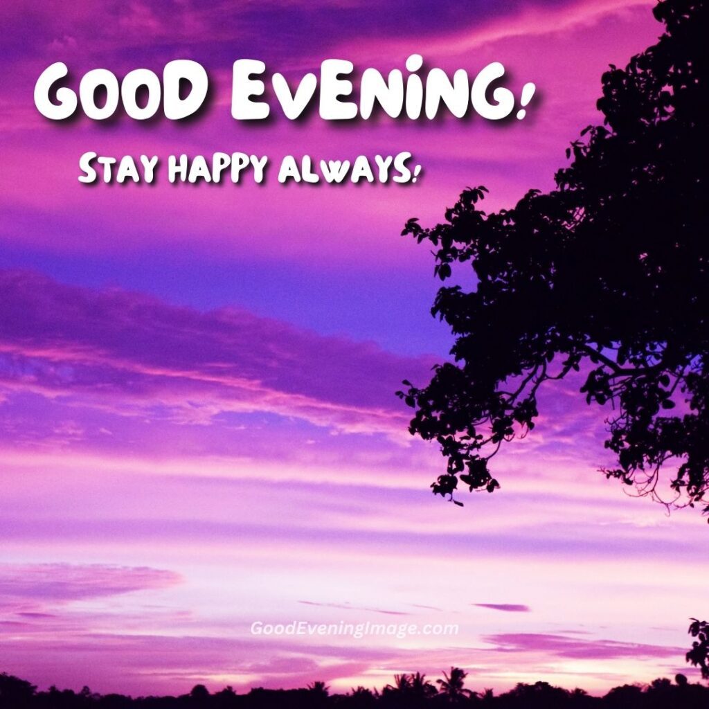 good evening purple amazing nature image