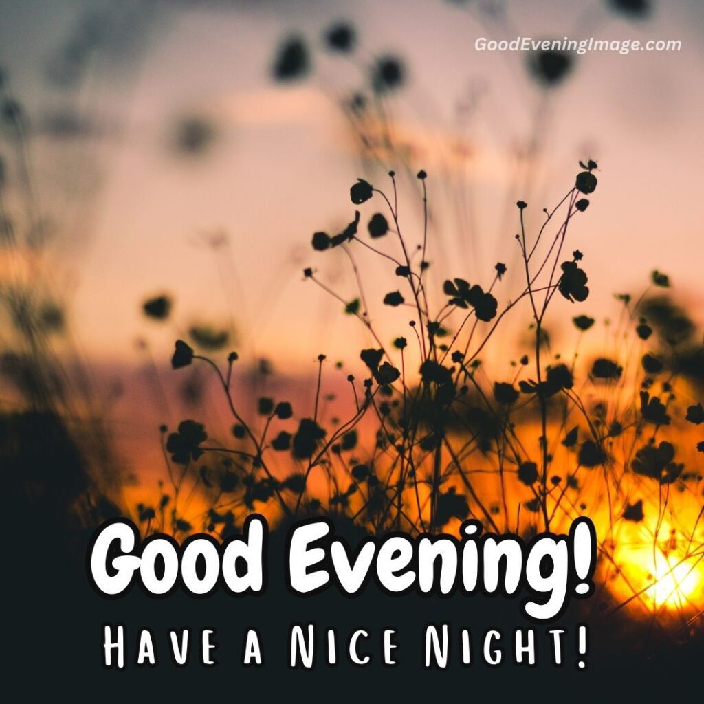 good evening image have a nice night
